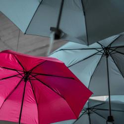 A group of open umbrellas, seen from underneath. Most are grey but one is red.